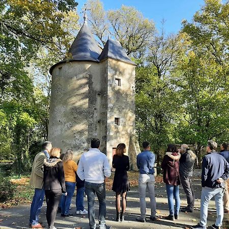 Chateau De Mornay Saint-Pierre-de-l'Isle 外观 照片