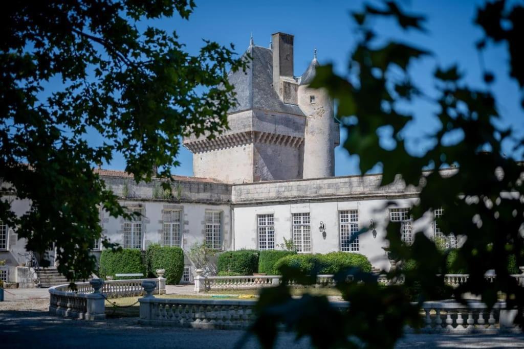 Chateau De Mornay Saint-Pierre-de-l'Isle 外观 照片