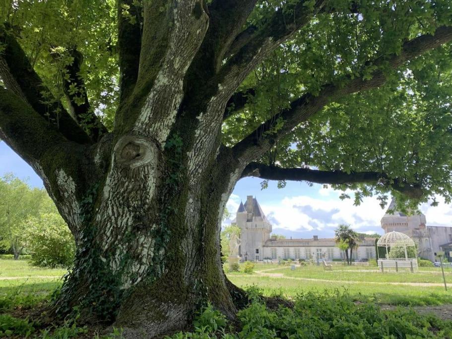 Chateau De Mornay Saint-Pierre-de-l'Isle 外观 照片
